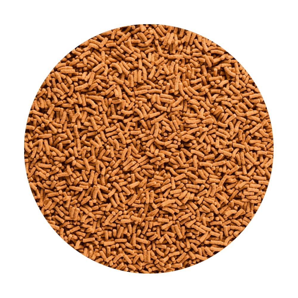 colour 4l.jpg
